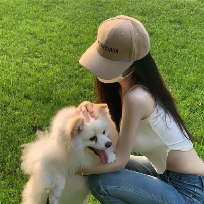 边塞丽春花